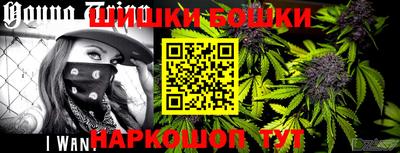 гидра Лесосибирск