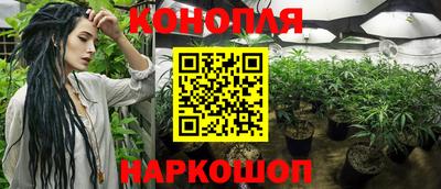 гидра Лесосибирск