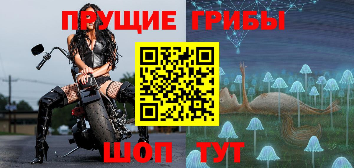 Каменка  Галлюциногенные грибы MAGIC MUSHROOMS  Вход с VPN  Галлюциногенные грибы Cubensis 
