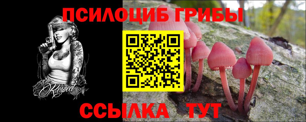 Псилоцибиновые грибы GOLDEN TEACHER Каменка